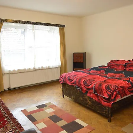 Homestay Oana Brasov