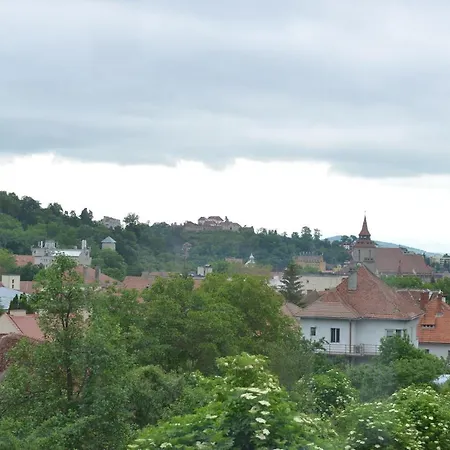 Oana Brasov
